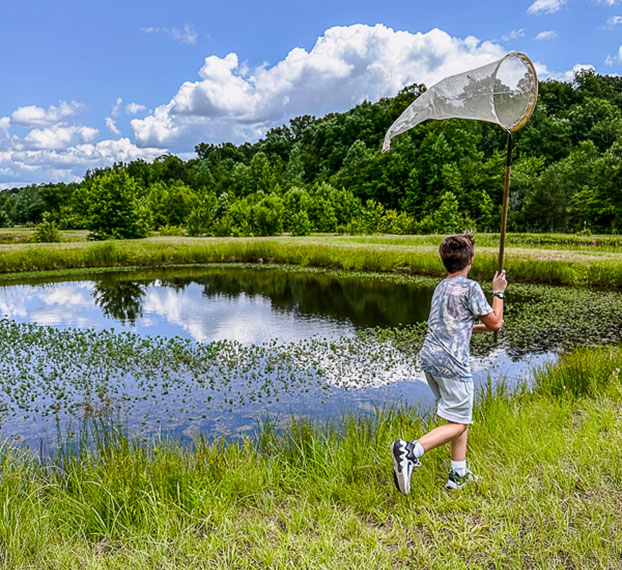 student at the field station catching insects with net