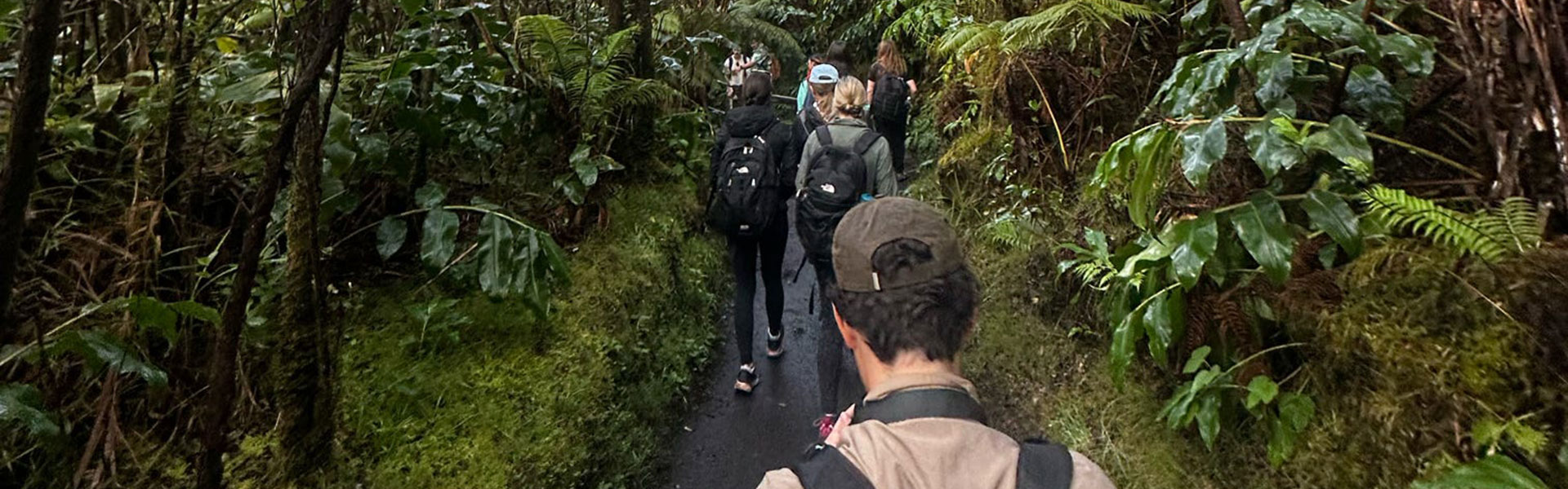 students in hawaii forest