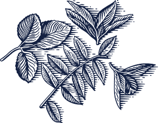 Card image pennant
